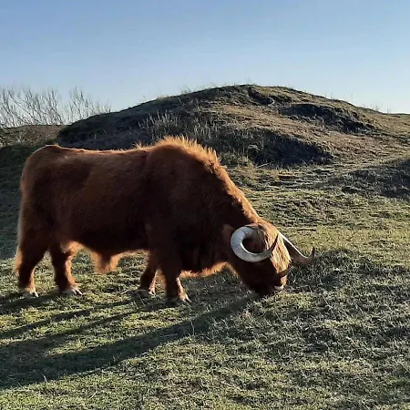 Sonnblick Сasa de vacaciones *